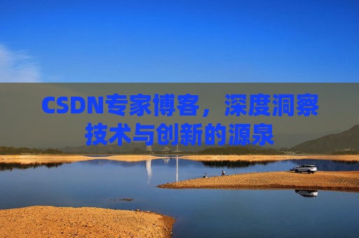 CSDN专家博客，深度洞察技术与创新的源泉